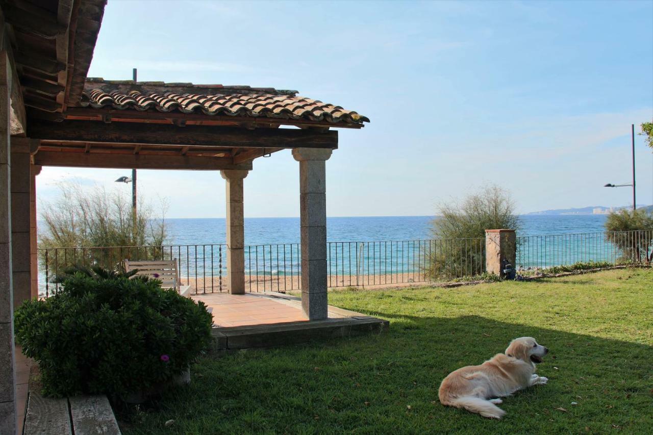 Ancora Vella Villa Sant Antoni De Calonge Dış mekan fotoğraf